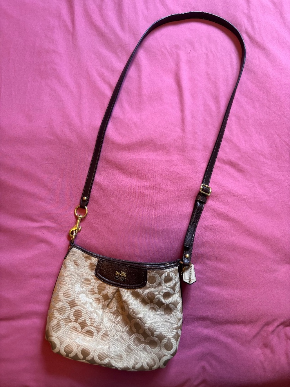 Coach Bag - Picture 1 of 3